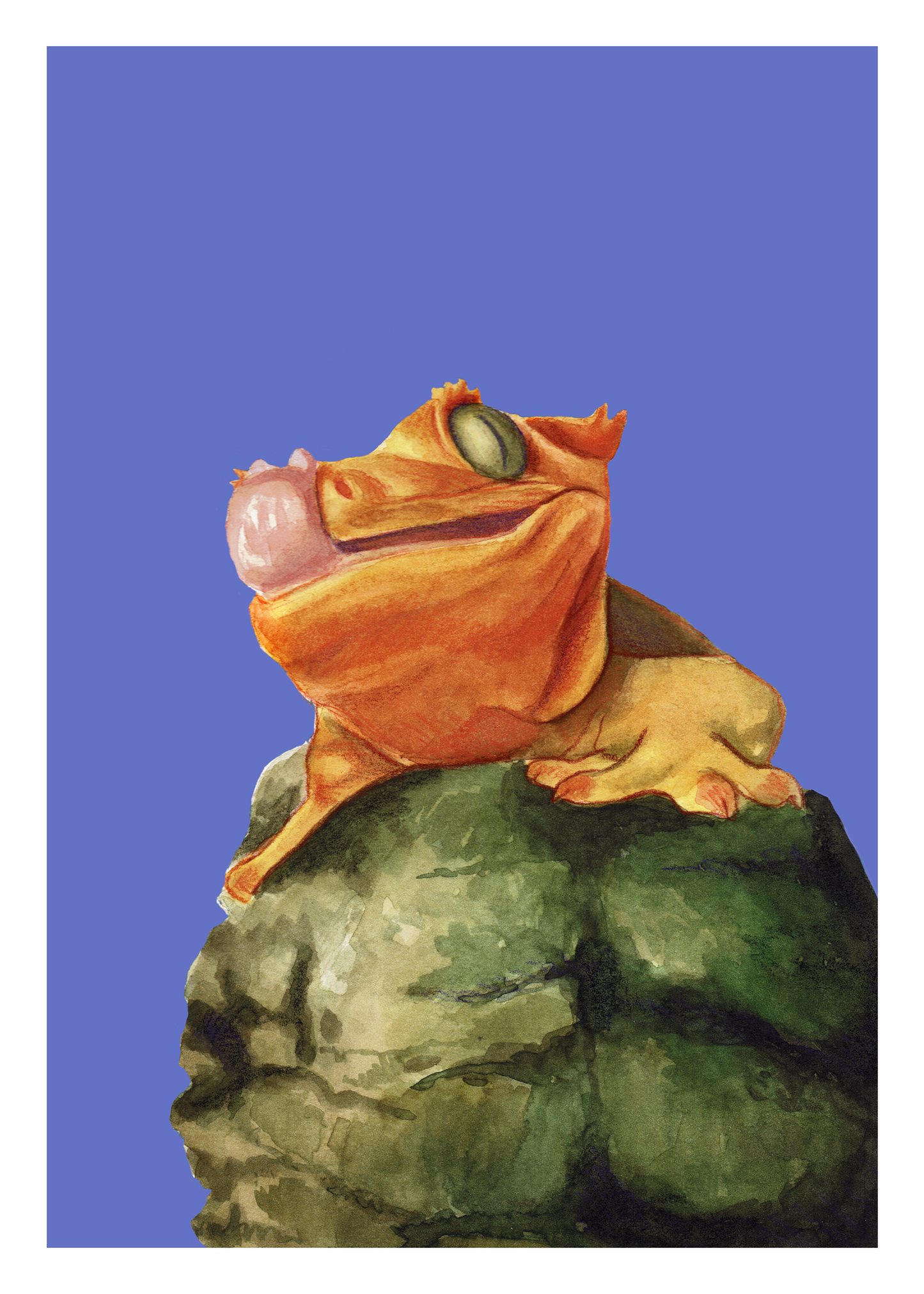 Cheese the Crested Gecko